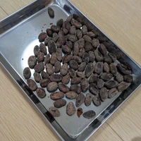 画像236