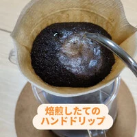 画像239