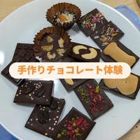 画像243