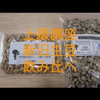画像288