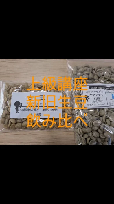 画像288