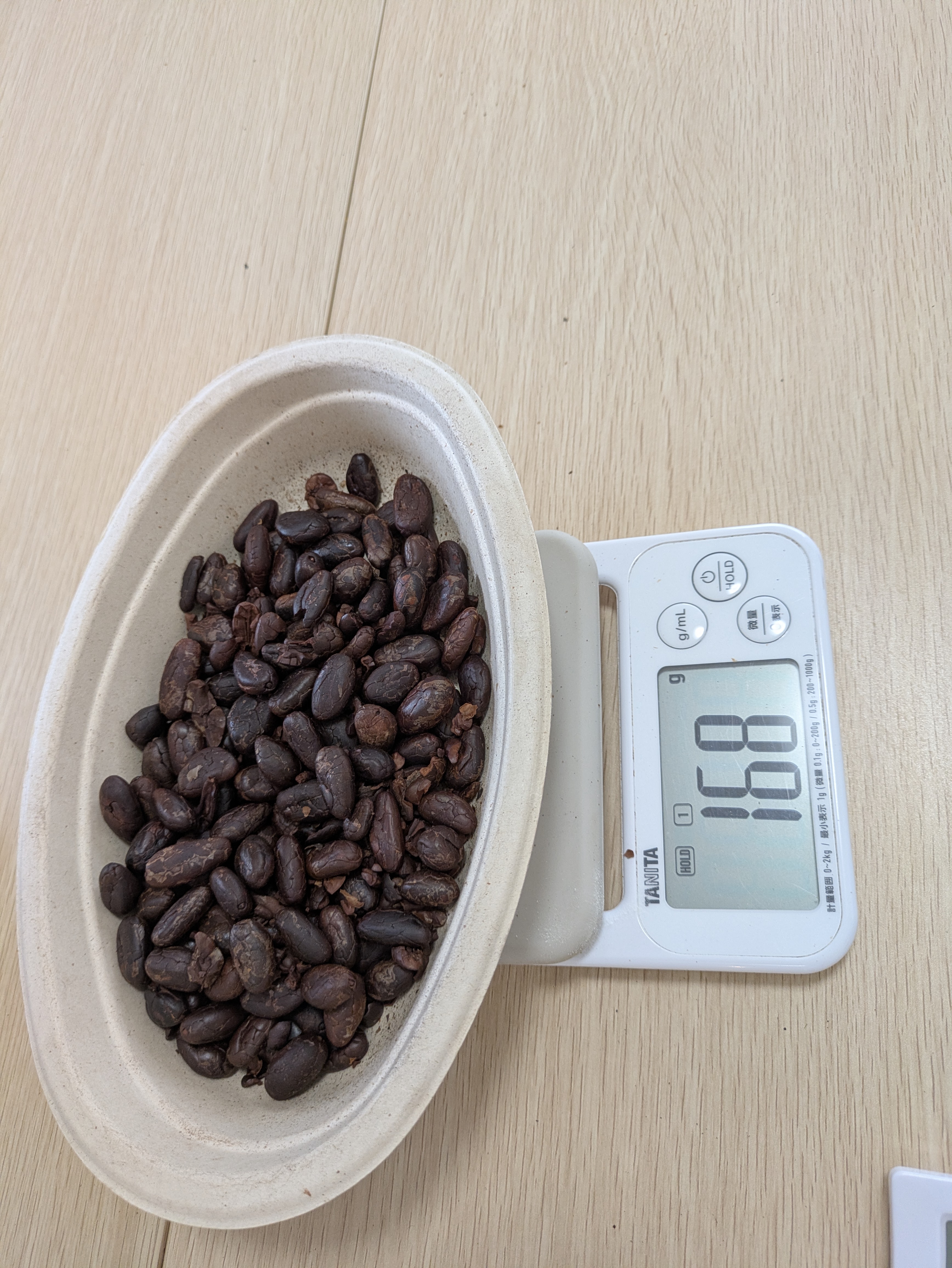 カカオ豆の魅力を味わう